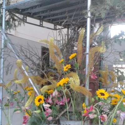 Landesgartenschau Würzburg 2018