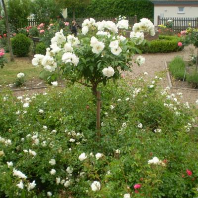 Image023