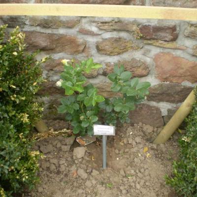 Image027
