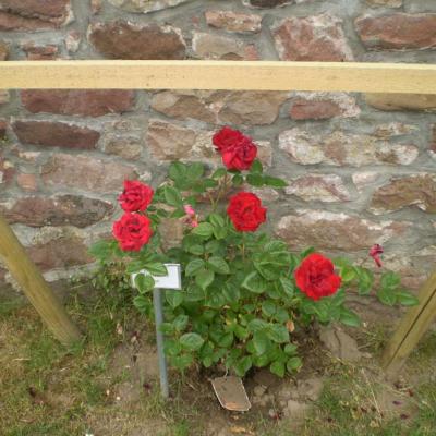 Image028