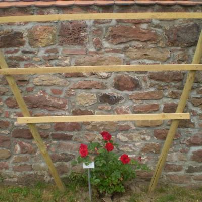 Image029