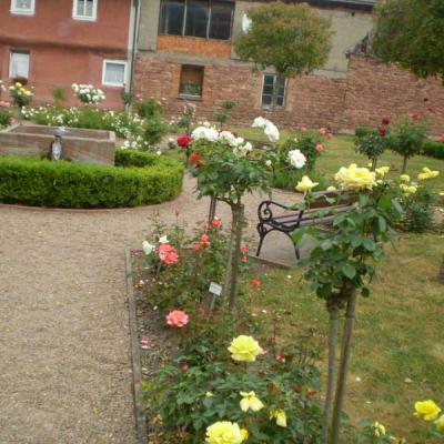 Image033
