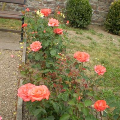 Image036