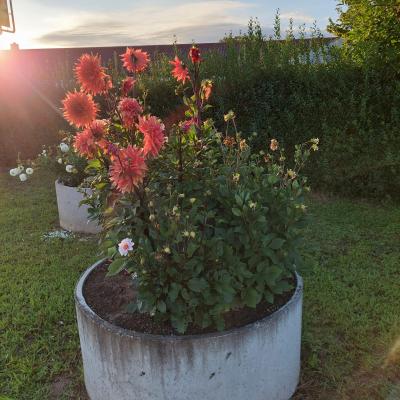 Img 20240810 Wa0019