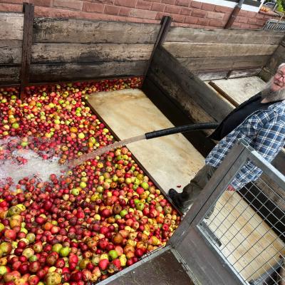 Img 20241025 Wa00251